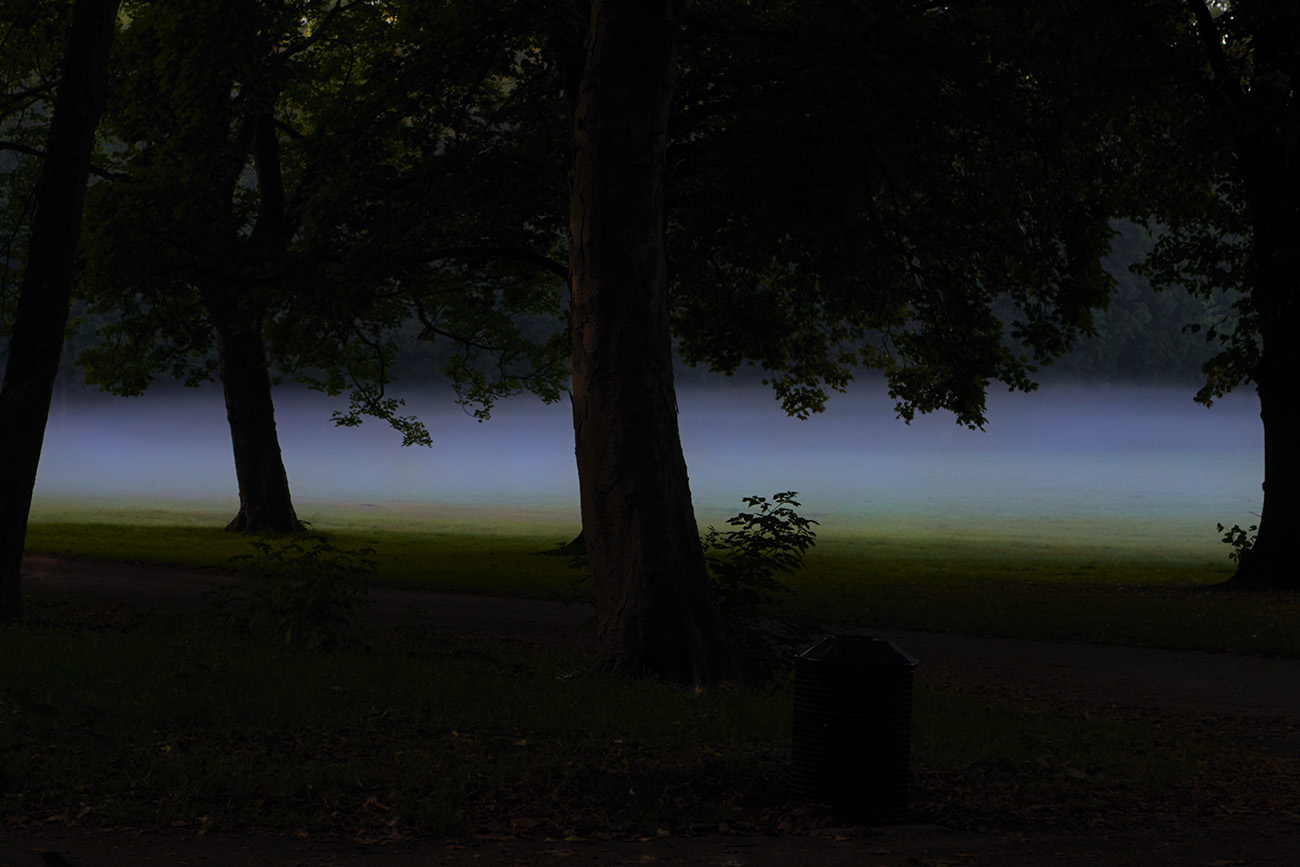 Nebel im Park, Köln, Deutschland © Monika Probst, Köln