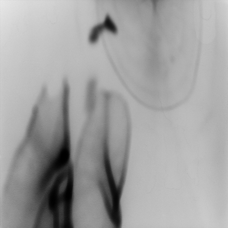 Phasmaluminatique # 8, Fotokunst © Monika Probst, Köln